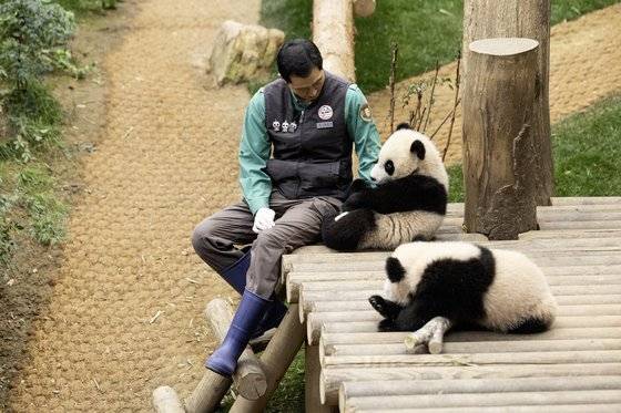 송영관 / 에버랜드 사육사 / 용인 에버랜드. 권혁재 기자