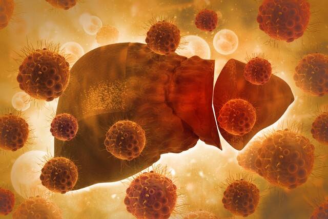 사진은 기사의 특정 내용과 관련 없음. 게티이미지뱅크