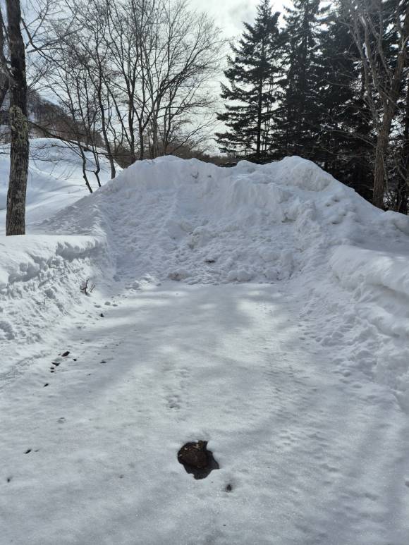 2월24일 오전, 다카마쓰 마을로 들어가는 길목 역시 눈이 산처럼 쌓여 있다.ⓒ시사저널 김현지