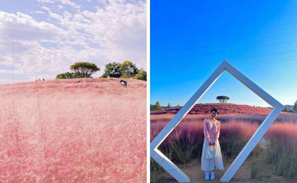 합천 가볼만한 곳 BEST 5 / @liamood._.v / @extravagantmelancholy