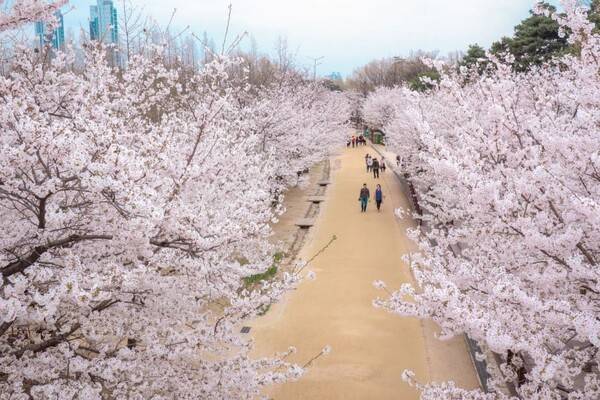 온라인 커뮤니티