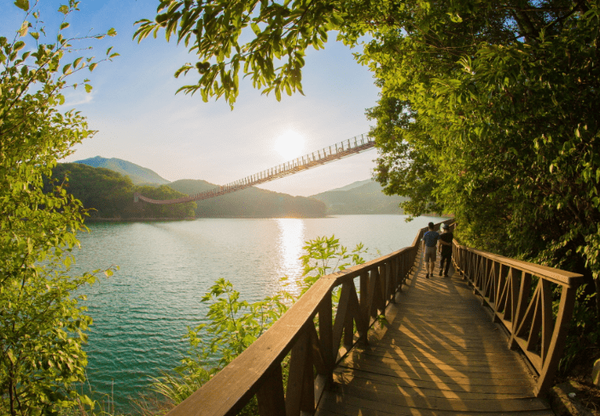 온라인 커뮤니티