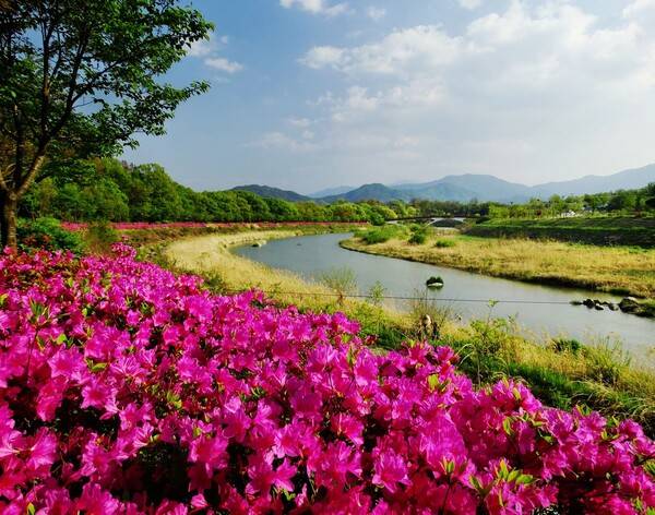 함양 가볼만한 곳 / 온라인 커뮤니티
