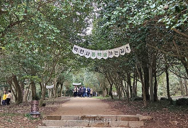 백련사의 자랑거리인 동백나무 숲길