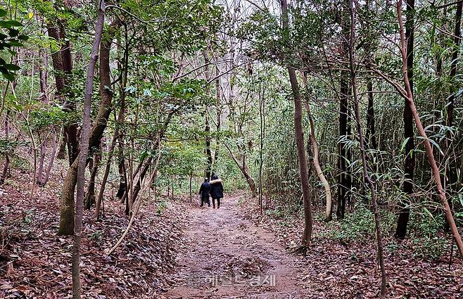 백련사에서 정약용이 유배 살던 다산초당으로 이어지는 오솔길