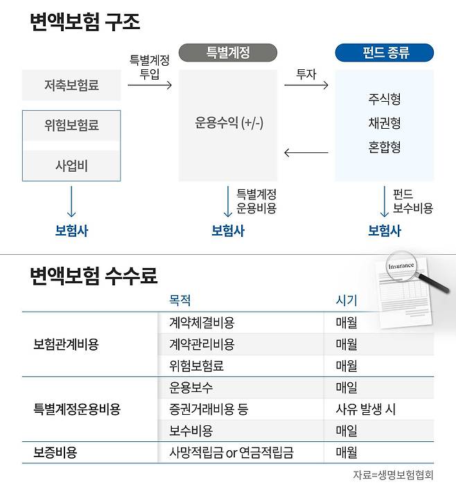 그래픽=정서희