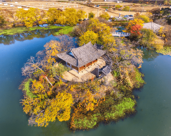 온라인 커뮤니티