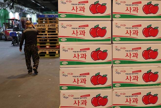 13일 서울 송파구 가락농수산물시장에 경매를 마친 사과가 상자채로 쌓여 있다. [한주형 기자]