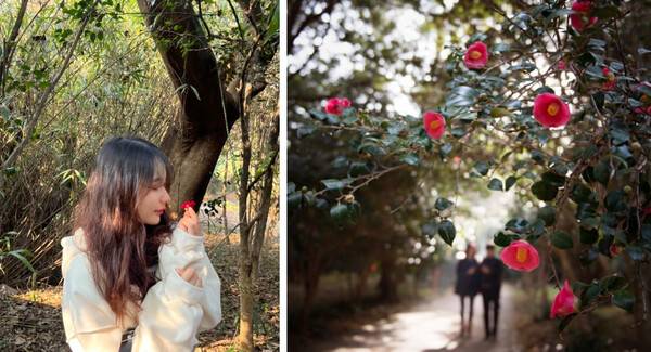 여수 가볼만한 곳 BEST 10 필수코스 총정리 / @seoyoung_1ucky