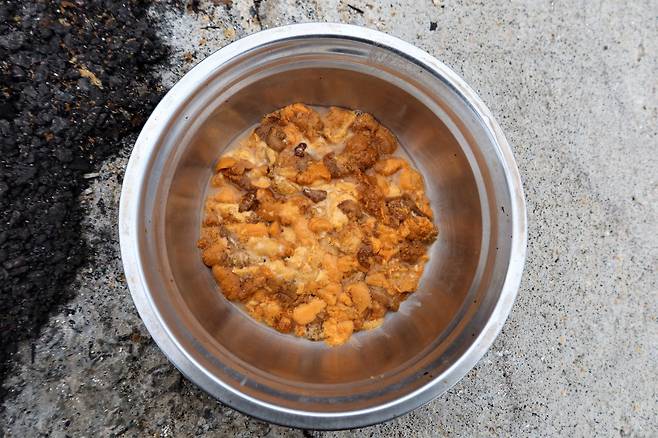 성게에서 꺼낸 성게알/김준 광주전남연구원 책임연구위원