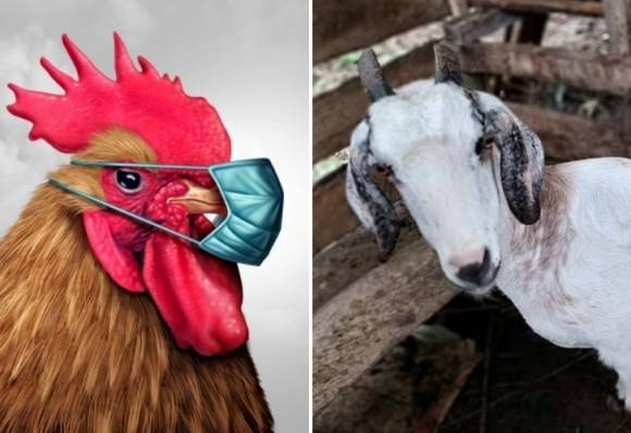 자료사진 123rf.com