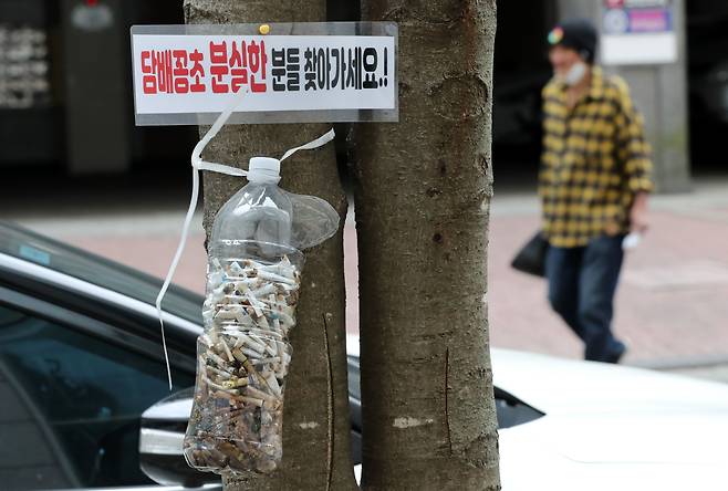 22일 대전 유성구의 한 거리 가로수에 담배꽁초가 가득 든 페트병이 내걸려 있다. /신현종 기자