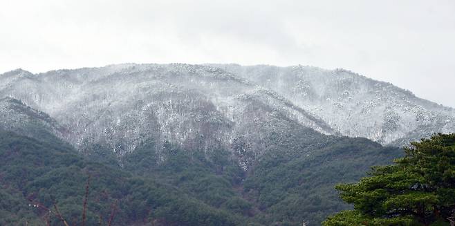 지난 26일 강원 속초 설악산 정상 부근에 흰 눈이 쌓여 있다. 속초시 제공