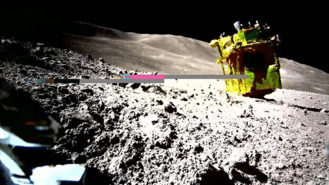 슬림과 함께 달에 간 이동형 탐사선 LEV-2가 촬영한 슬림 탐사선의 모습(출처= JAXA, 리츠메이칸 대학, 아이즈 대학)