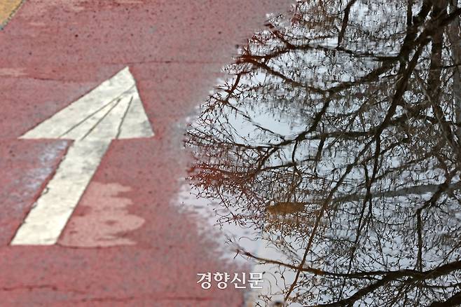 서울 영등포구 여의서로에 고인 빗물에 개화하지 않은 벚나무가 비쳐 보이고 있다.