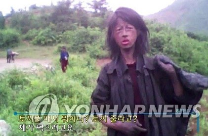 숨진 것으로 보도된 '꽃제비' 뼈만 남은 처참한 몰골로 자신이 먹을 토끼풀을 뜯는 영상이 국내외 TV로 방송돼 충격을 줬던 북한의 20대 꽃제비. 이 여성은 굶주림을 견디다 못해 끝내 숨졌다고 이 영상을 촬영한 일본 아시아프레스 관계자가 대북 인터넷 매체 데일리NK에 밝혔다. 사진은 2010년 8월 KBS 스페셜을 통해 보도된 모습. 
 [KBS 화면 촬영]