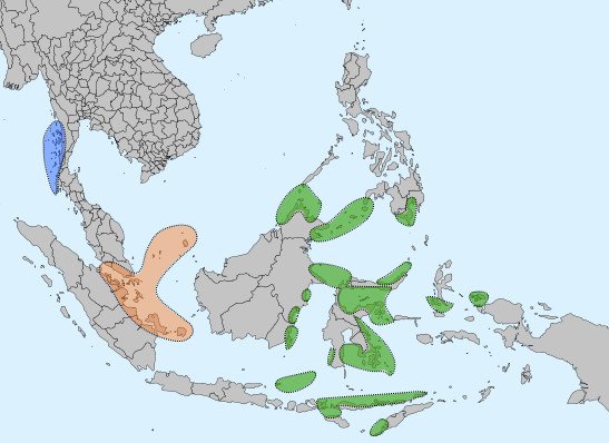 동남아시아 수상민의 분포 영역. 초록색으로 표시된 바자우족(사마-바자우, 또는 사마라고도 함)이 제일 많고, 주황색으로 표시된 오랑-라우트족과 청색으로 표시된 모켄-모클렌족이 있다.