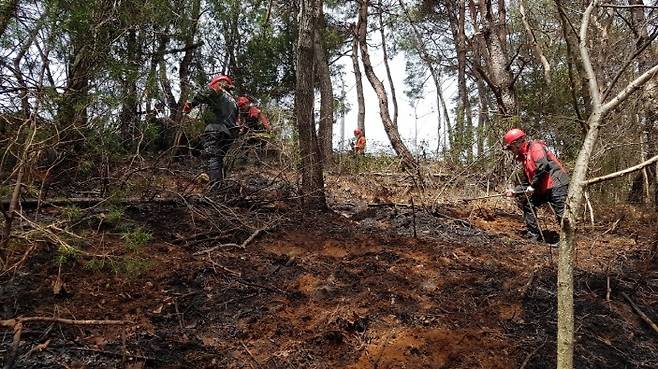 1일 오후 경기 남양주시 진접읍 한 야산에서 산불진화대원들이 잔불을 정리하고 있다.(산림청 제공)/뉴스1