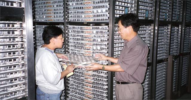 필리핀에 있는 국제미작연구소(IRRI)에서 연구원들이 보관 중인 각종 종자를 살펴보고 있다. 농민신문DB