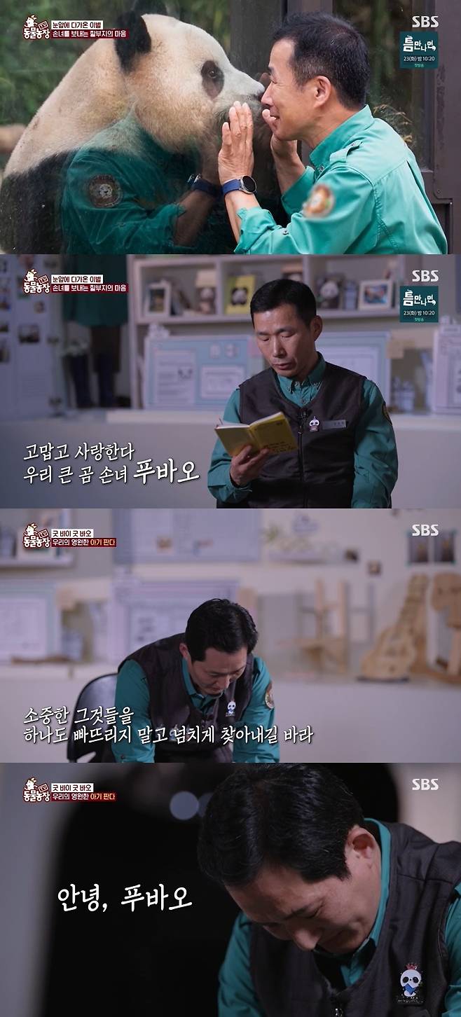 SBS ‘TV 동물농장’ 캡처