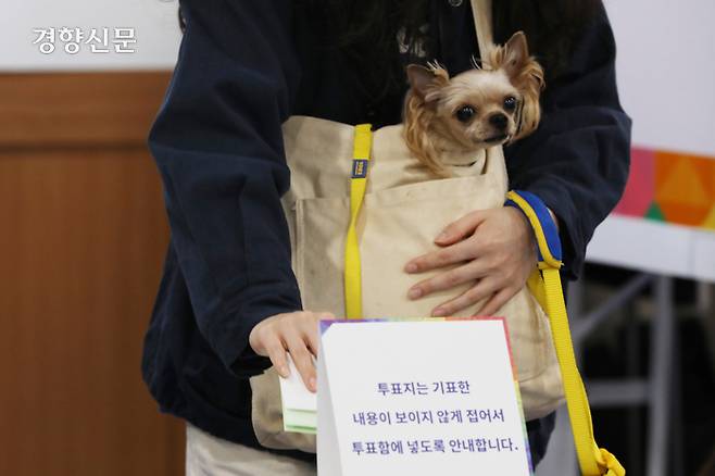 서울 용산구 배문중학교에 마련된 청파동 제2투표소에서 시민이 반려견과 함께 투표하고 있다. 정효진 기자