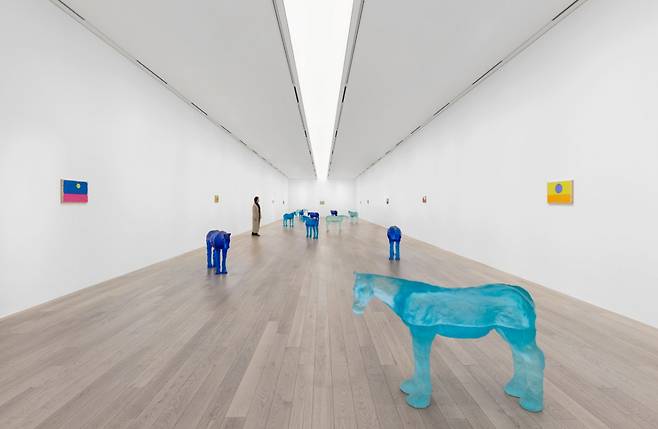 An installation view of the series "Horses" and "Mattituck" at Museum San (Museum San)