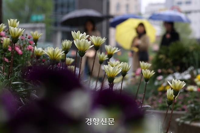 전국에 봄비가 내린 15일 서울광장 인근 화단에 식재된 봄꽃 너머로 시민들이 우산을 쓴 채 지나가고 있다.