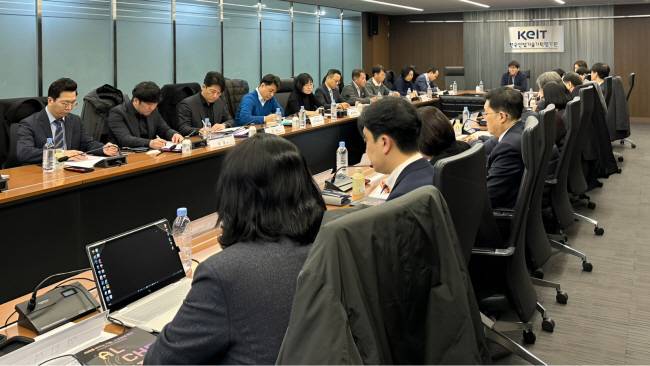 지난 1월 개최된 글로벌 혁신·도전 연구·개발(R&D) 협의회에서 참석자들이 R&D 체질 개선을 위해 혁신·도전형 R&D 확대방안을 논의하고 있다. KEIT 제공