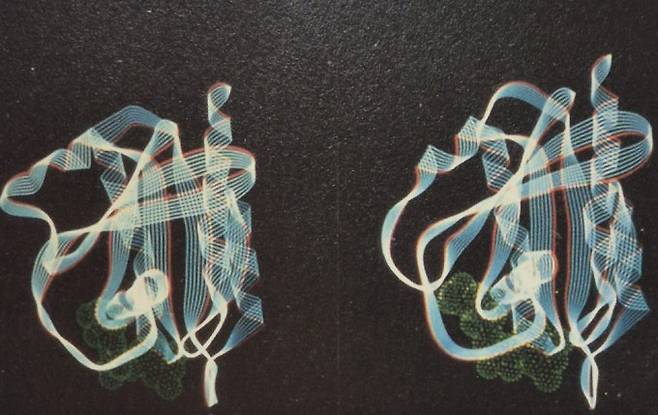 1982년 발견된 발암유전자 라스는 돌연변이로 늘 스위치가 켜진 상태다(오른쪽). 반면 정상 라스 단백질은 평소 스위치가 꺼진 상태(왼쪽)이고 세포밖에서 성장·증식 신호가 왔을 때만 켜지고 바로 다시 꺼진다. 라스 단백질의 구조는 1980년대 말 미국 버클리 캘리포니아대 화학과 김성호 교수팀이 밝혔다.김성호 제공