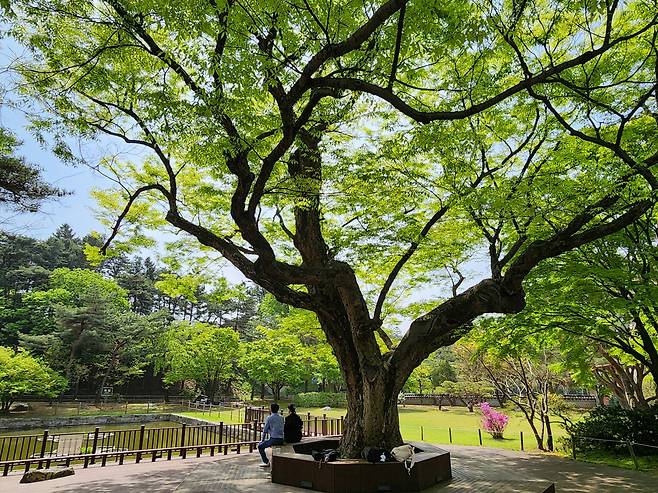 국민 쉼터가 된 아산 현충사