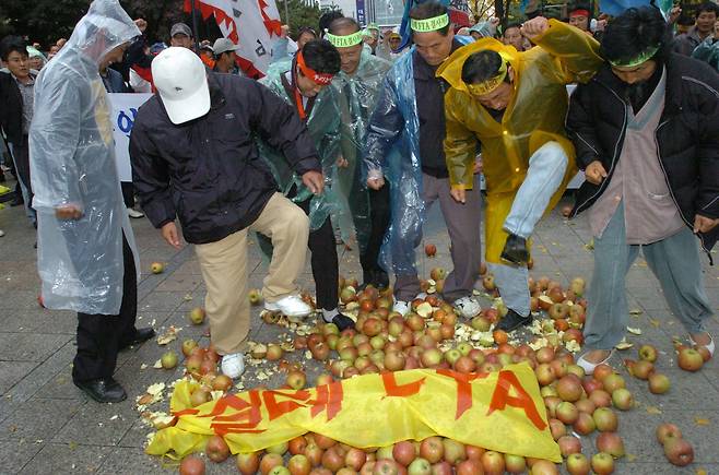 2003년 11월 10일 오후 서울 여의도 국회 앞에서 열린 한-칠레 FTA 비준저지 전국농민대표자 대회에서 농민들이 사과를 발로 밟고 있다./조선일보DB