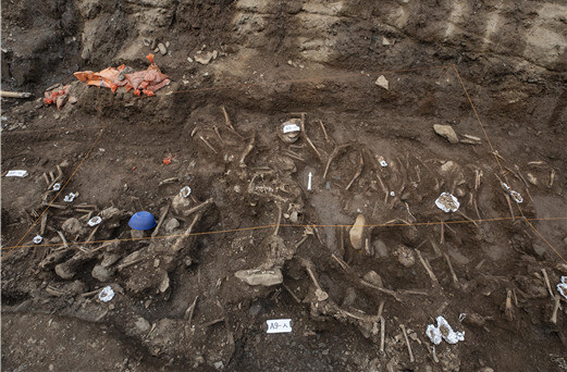 신원이 확인된 대전 산내골령골 1지점의 A9칸 유해노출 모습이다. 약 4×2m 크기에서 집단유해 54구(일괄유해 43구, 단독개체 11구)가 발굴되었다. 진실화해위 제공