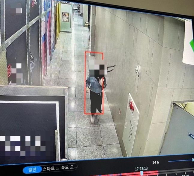 A씨가 전날 인터넷 커뮤니티에 올린 글에 첨부된 사진. CCTV 속 한 여성이 상가 건물을 뛰어가고 있다./사진=온라인 커뮤니티 갈무리