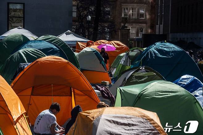 미국 뉴욕 컬럼비아대의 농성 텐트들 ⓒ AFP=뉴스1