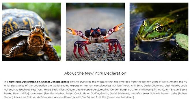 지난 19일(현지시각) 미국 뉴욕주 뉴욕대에서 열린 ‘동물 의식의 새로운 과학’ 콘퍼런스에서 학자 수십명이 참여한 ‘동물 의식에 관한 뉴욕 선언’이 발표됐다. 뉴욕대 누리집 갈무리