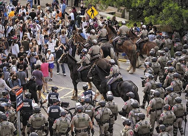 24일 미국 텍사스주 텍사스대 오스틴 캠퍼스에서 기마대를 동원한 경찰이 반(反)이스라엘 시위대를 해산하고 있다. 이 과정에서 시위대 20여 명이 경찰에 연행됐다./AP 연합뉴스