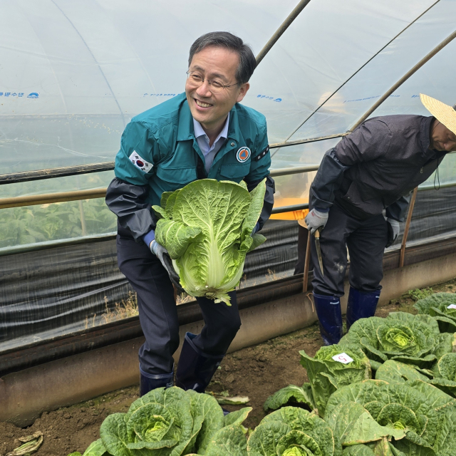 이형일 통계청장이 24일 충남 예산군 한 봄배추 재배 농가에서 생산량 조사 표본 배추를 수확하고 있다. 사진=주재현 기자