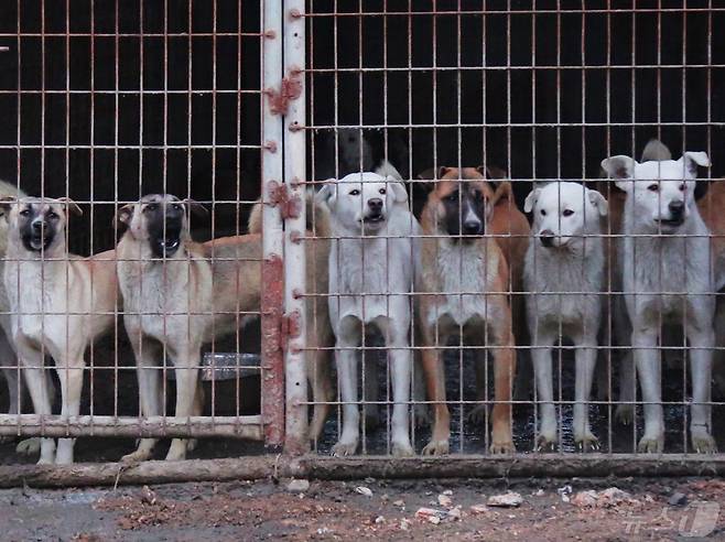 (사진은 기사 내용과 무관함) / 뉴스1 ⓒ News1