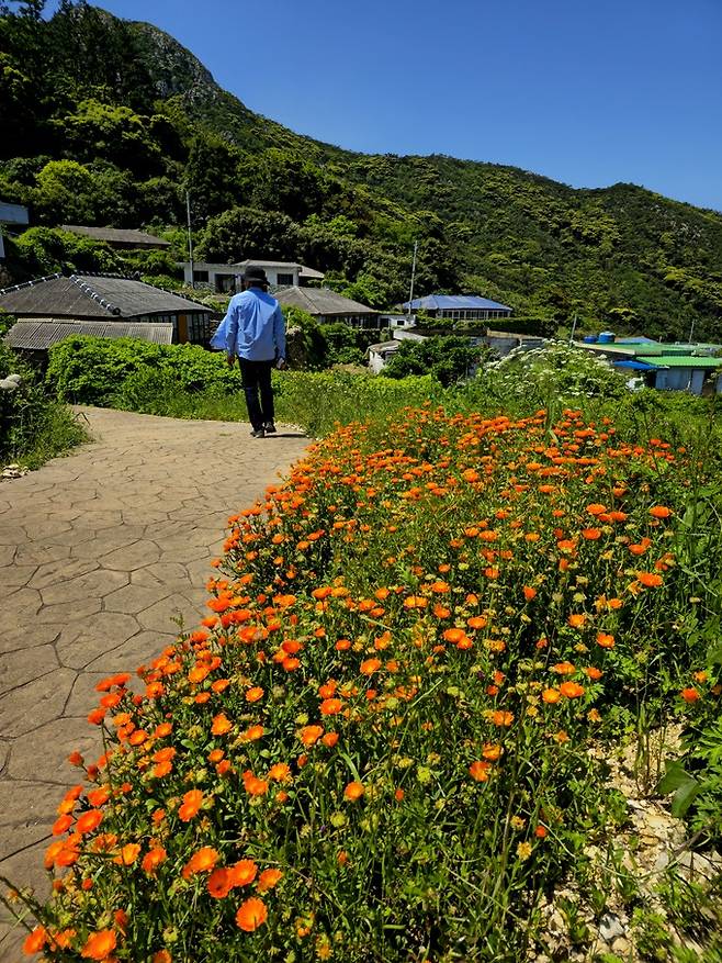 영산도 마을길.