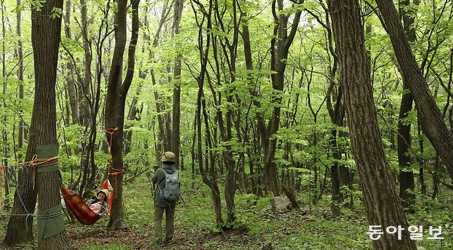 지난달 30일 강원 양구군 해안면 ‘비무장지대(DMZ) 펀치볼 숲길’을 찾은 탐방객들이 서로의 모습을 휴대전화로 촬영하며 사진에
담고 있다. 이곳은 국내 최북단 민간인통제선 내 유일한 숲길로 등산지도사가 동행해야 탐방할 수 있지만 금강초롱, 산양 등
희귀동식물을 직접 볼 수 있는 코스로 입소문이 났다. 양구=신원건 기자 laputa@donga.com