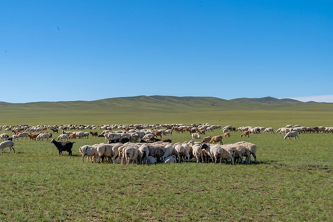 몽골 대초원 / 사진=하나투어 제공