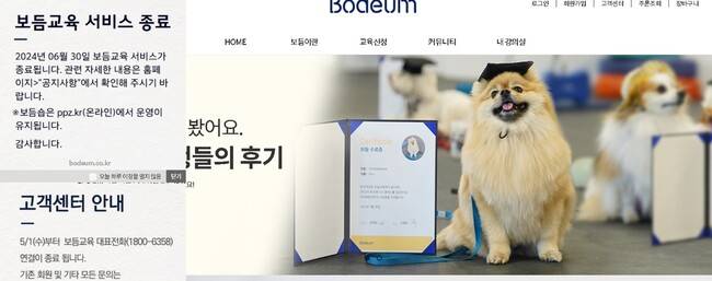 보듬컴퍼니 누리집 갈무리