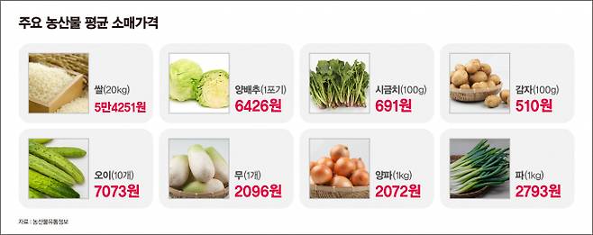 5월23일 기준 주요 농산물 평균 소매가격. /그래픽=김은옥 기자