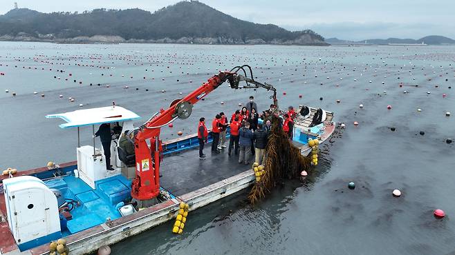 미 에너지부 산하기관 에너지고등계획원(ARPA-E) 관계자들이 지난 1월 완도군 해조류 양식장을 방문한 모습. 해조류는 바다 속 오염물질을 정화하고, 대기 중 이산화탄소를 흡수할 수 있다. 최근에는 희토류 원소를 축적하는 사실도 확인돼 이를 이용한 희토류 원소 채굴 프로젝트가 시작됐다./뉴스1