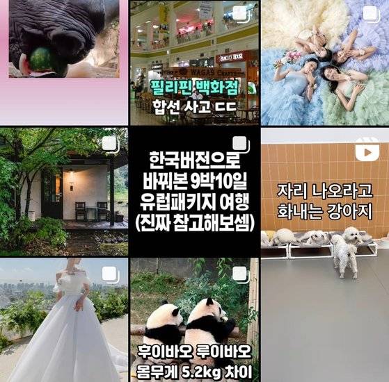 MZ세대 소개팅이나 첫 만남에서 서로의 사회관계망서비스(SNS) AI 추천 알고리즘을 확인하는 풍경이 연출되고 있다. 인스타그램 앱의 돋보기칸 또는 유튜브 홈 화면에 나오는 콘텐트를 확인하는 방식이다. 독자 제공