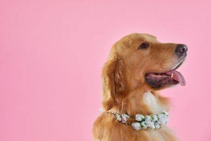 ⓒ게티이미지뱅크