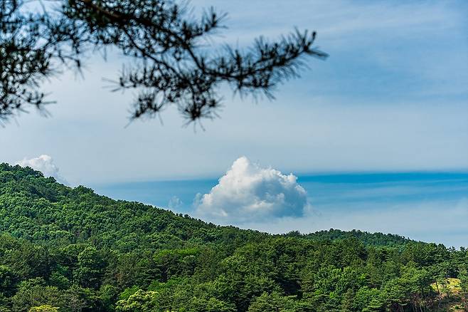 더운 여름엔 쉬어가라고, 대청호오백리길