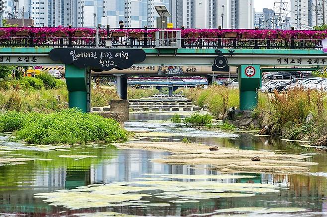 대전역에서 5분 거리, 대동천 너머 소제동 철도관사촌