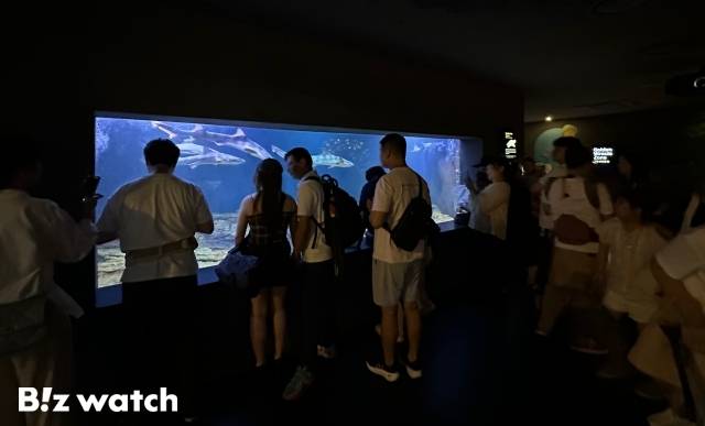 6월 30일 아쿠아플라넷63에 방문한 관람객들의 모습. / 사진 = 정혜인 기자 hij@
