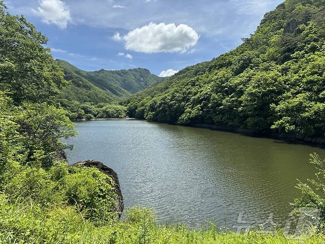 경북 청송군에 위치한 '주산지' 전경. ⓒ 뉴스1 김형준 기자